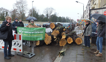 Aktion der Grünen mit Anwohner*innen gegen Baumfällungen in der Raiffeisenstraße