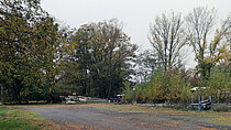 Bäume und Büsche, im Vordergrund eine Zugangsstraße