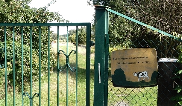 Magdeburg, Sparte Kuhanger I, Rückbau wegen Hochwassergefährdung und Bodenbelastung empfohlen