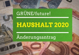 Änderungsantrag zur Drucksache DS0365/19 Haushalt 2020