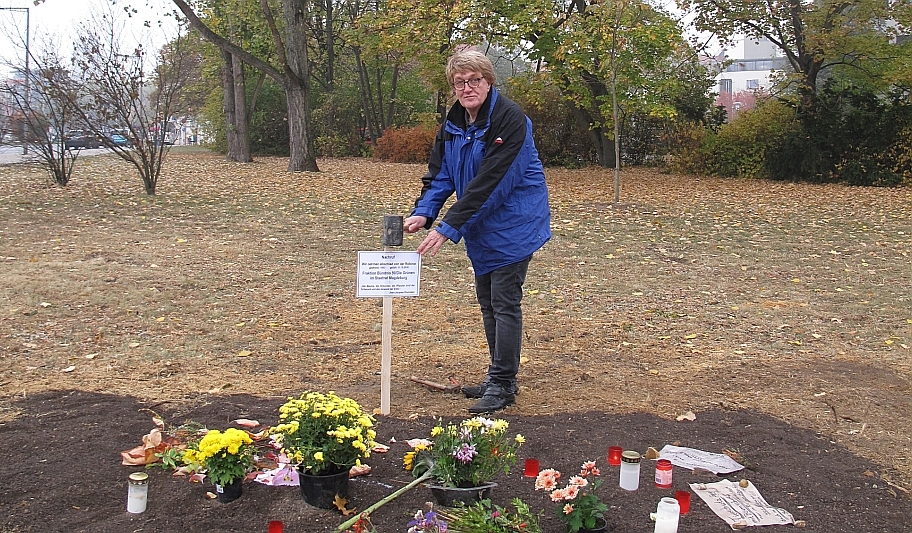 Ort der gefällten Robinie (J.-Bremer-Str./Jacobstr.)