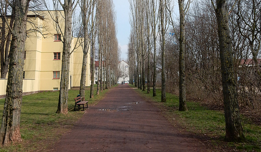 Pappelallee in der Beimssiedlung