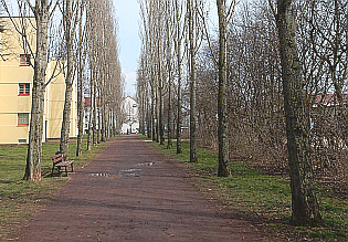 Pappelallee in der Beimssiedlung Pappelallee in der Beimssiedlung