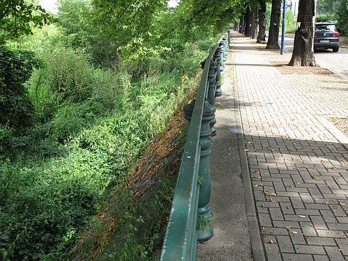 Werder-Linden und Hochwasserschutz