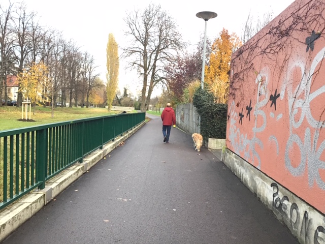 Weg mit Fußgänger und Hund