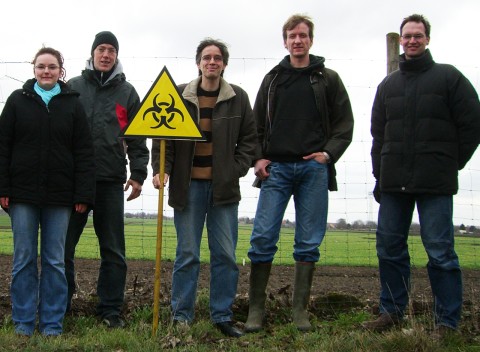 Genmais in Ottersleben