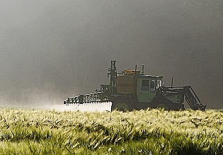 Einsatz von Glyphosat Einsatz von Glyphosat
