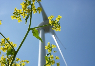 Windrat, Windenergie