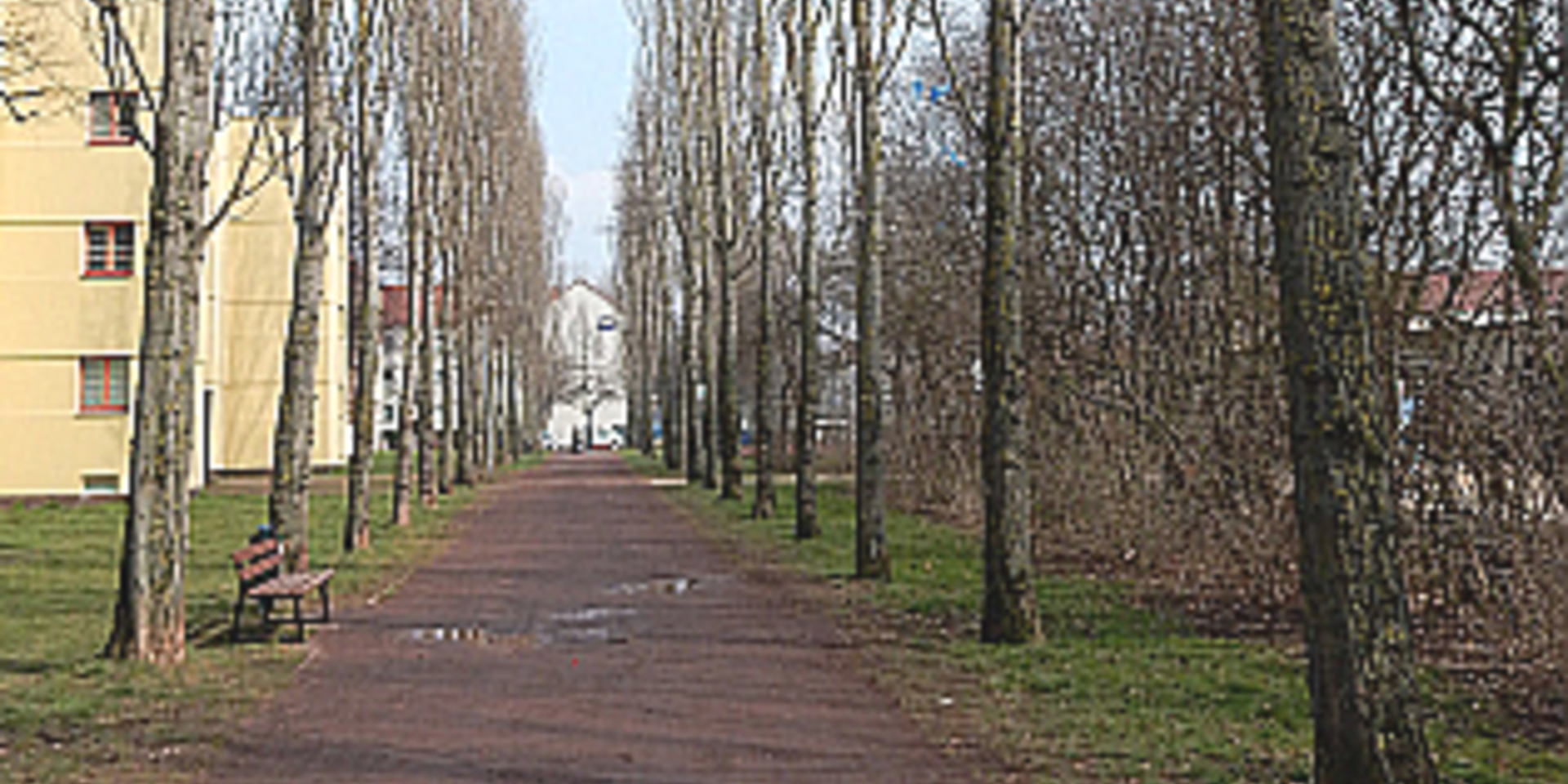 Pappelallee in der Beimssiedlung