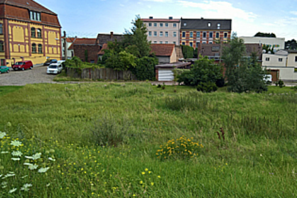 Bolzplatz Gröninger Park