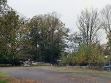 Bäume und Büsche, im Vordergrund eine Zugangsstraße