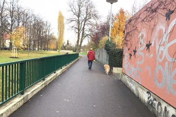 Weg mit Fußgänger und Hund