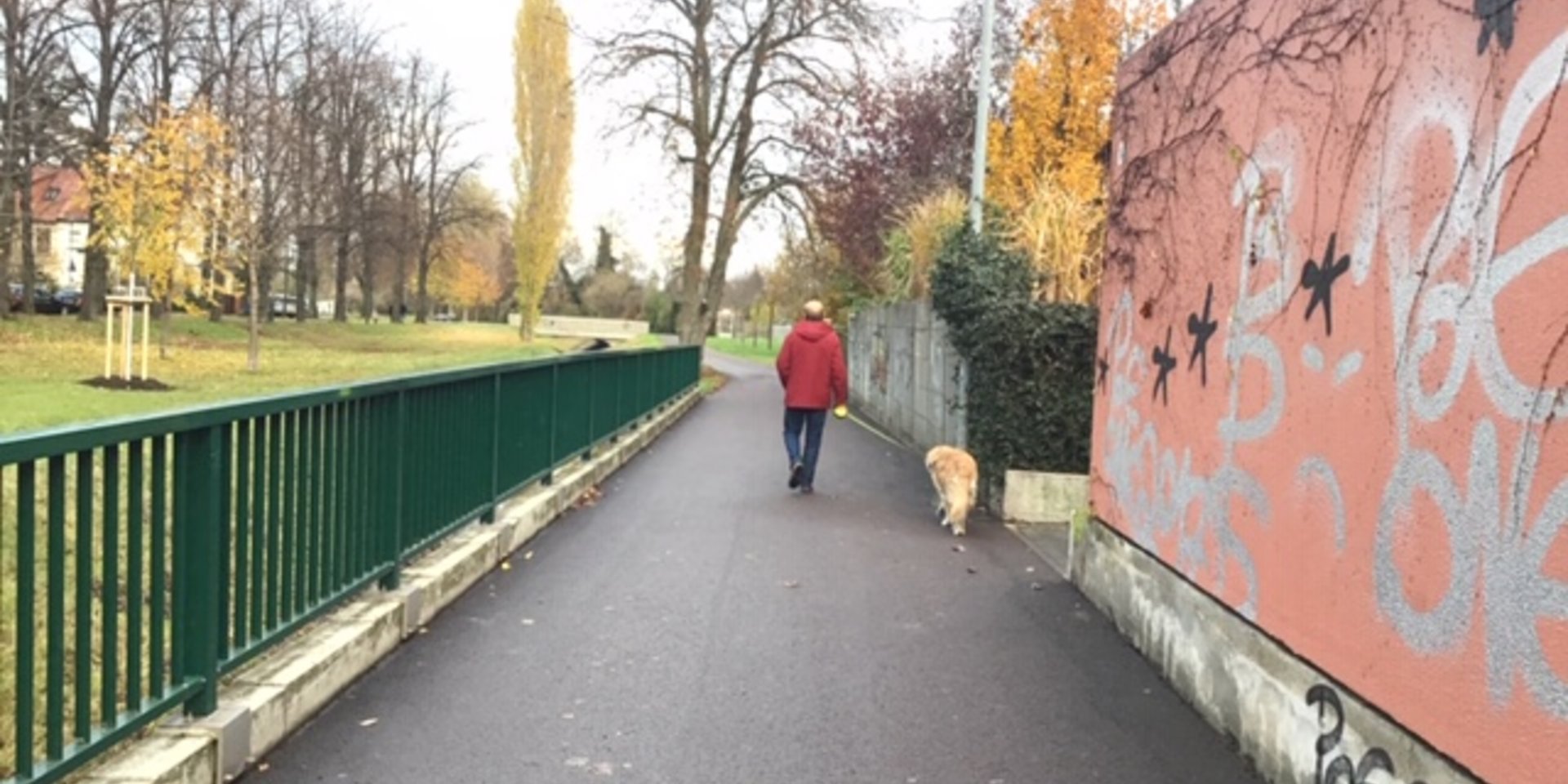 Weg mit Fußgänger und Hund