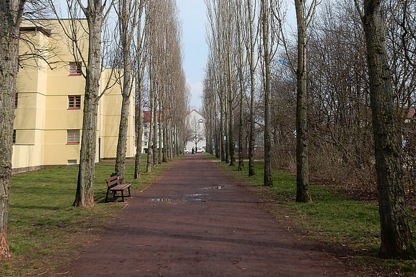 Pappelallee in der Beimssiedlung