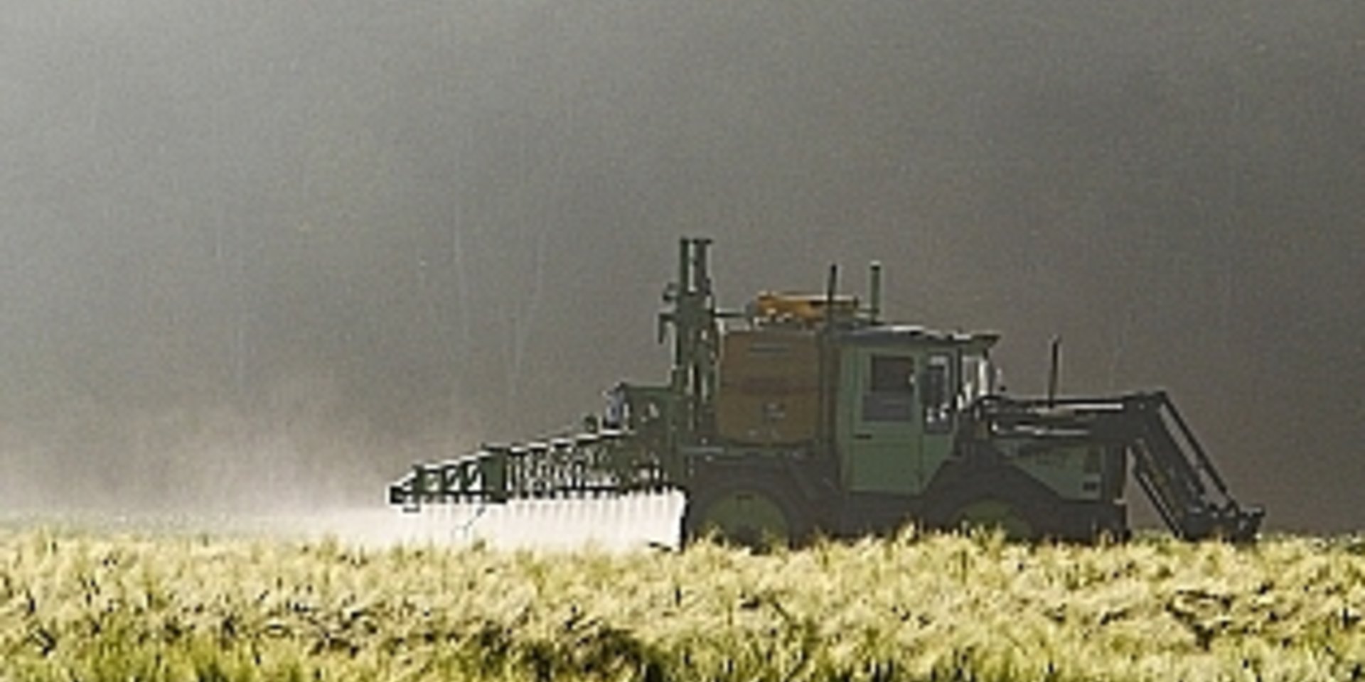 Einsatz von Glyphosat