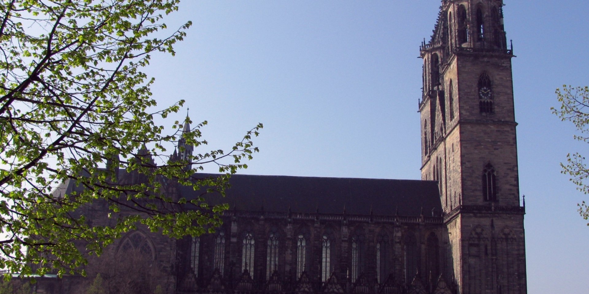 Der Magdeburger Dom von Norden