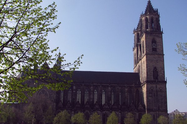 Der Magdeburger Dom von Norden