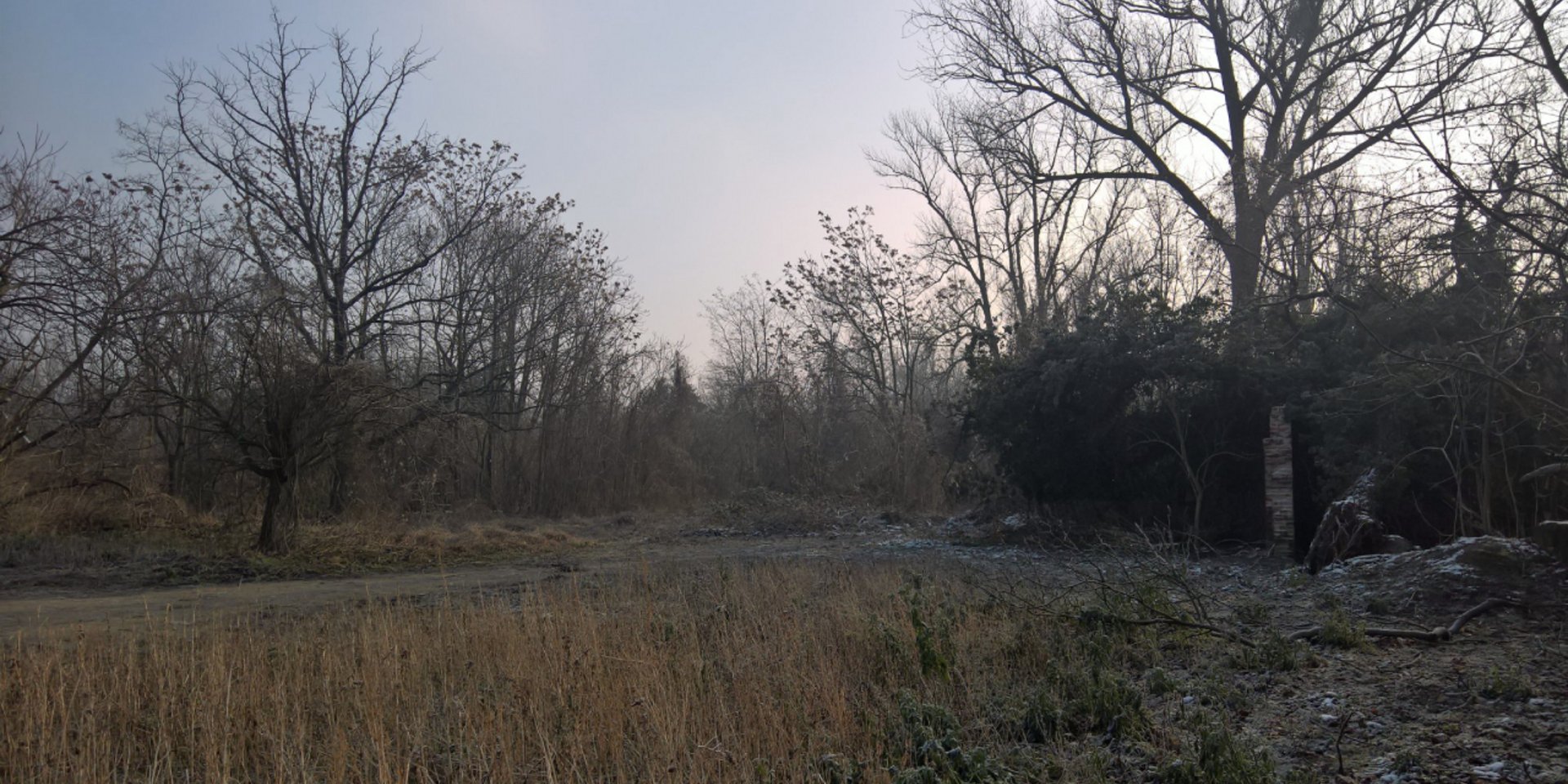 Blick auf gerodete Fläche am Kleinen Stadtmarsch