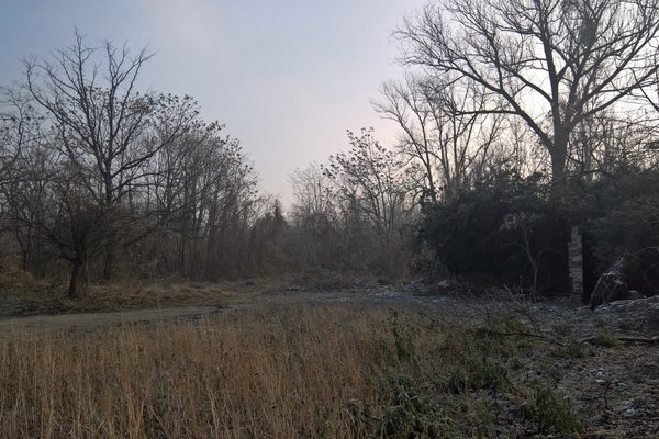 Blick auf gerodete Fläche am Kleinen Stadtmarsch