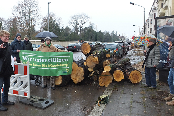 Aktion der Grünen mit Anwohner*innen gegen Baumfällungen in der Raiffeisenstraße