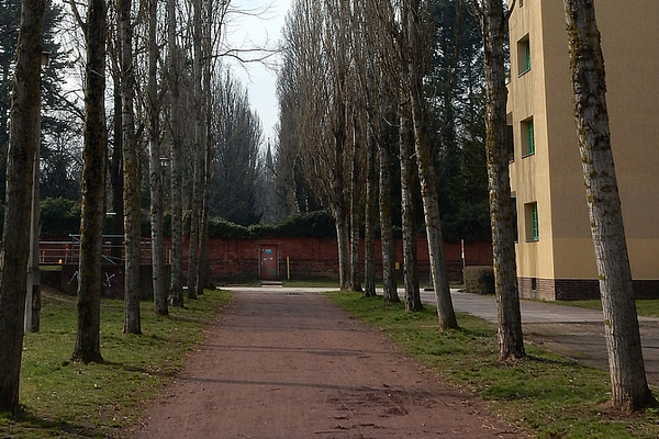 Pappelallee in der Beimssiedlung in Magdeburg