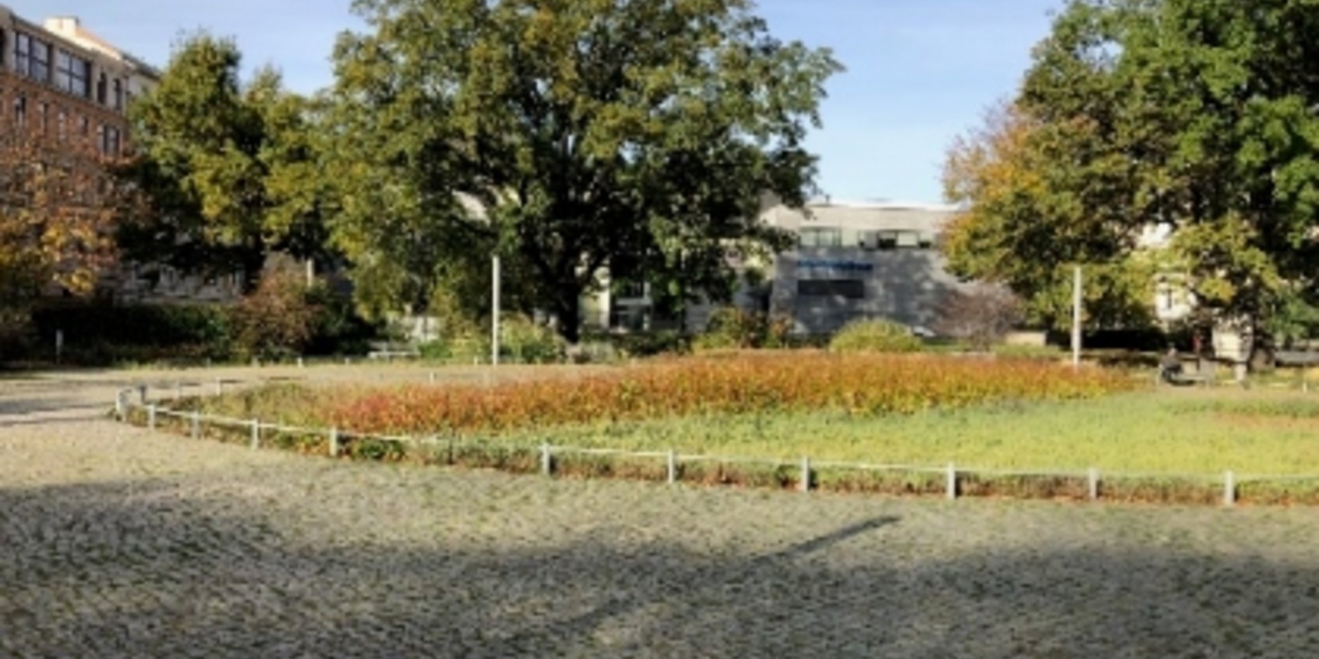 Friedensplatz in Magdeburg