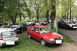 "wildes Parken" im Stadtpark Rothehorn