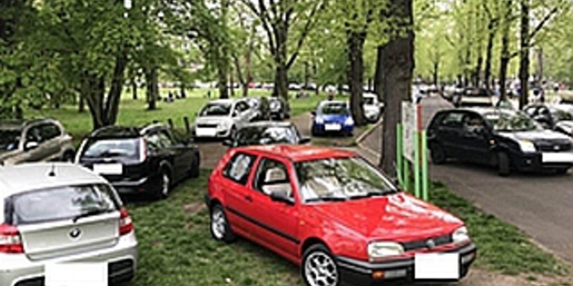 "wildes Parken" im Stadtpark Rothehorn